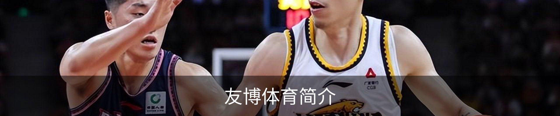 友博体育简介